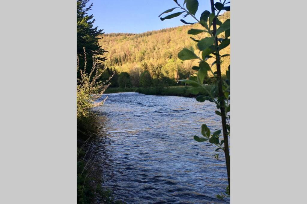 Gite Authentic Ardenne Vresse-sur-Semois Exterior foto