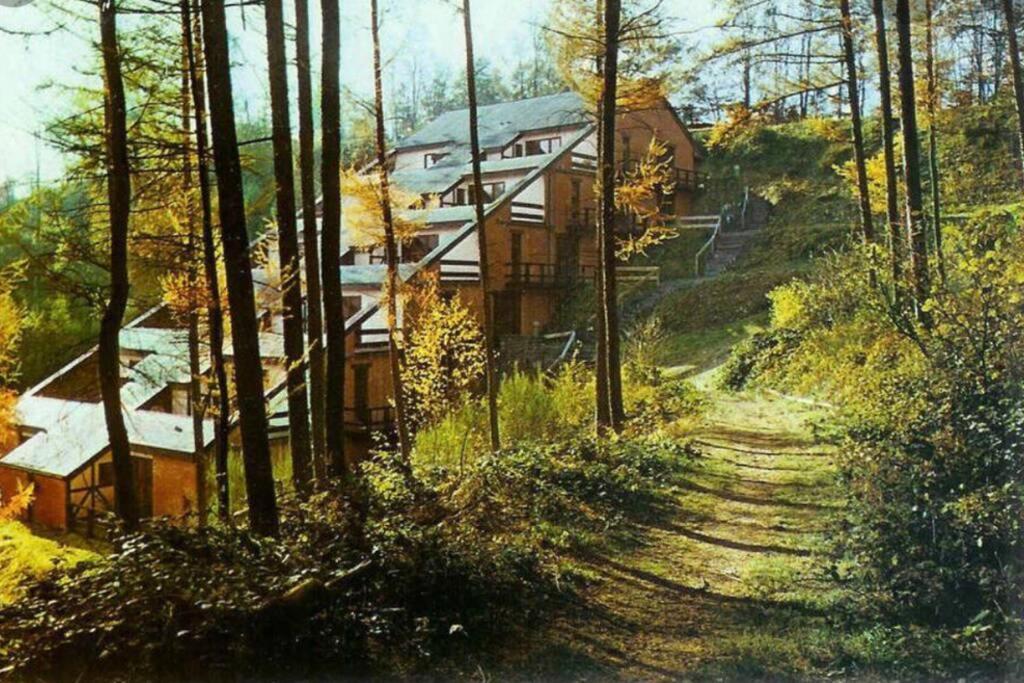 Gite Authentic Ardenne Vresse-sur-Semois Exterior foto